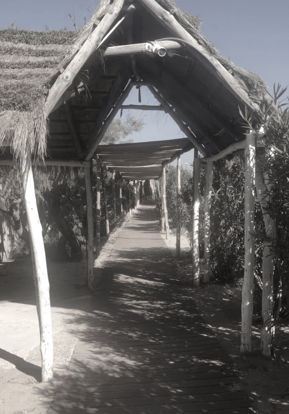 #18 Kolumne: Blickwinkel